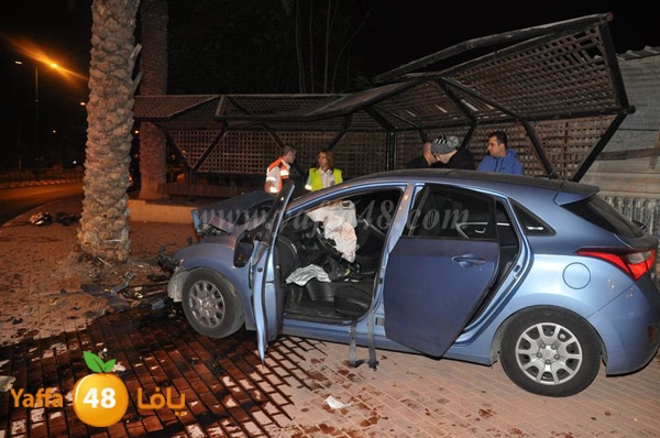 acc 7eshmona2em palmtree (16).JPG